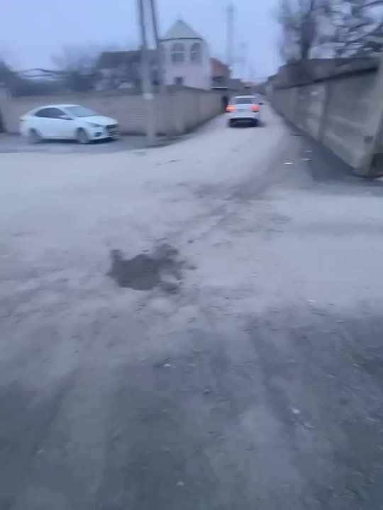 ��������� ��� ����� � ��������� �� �� ��������-������� 7