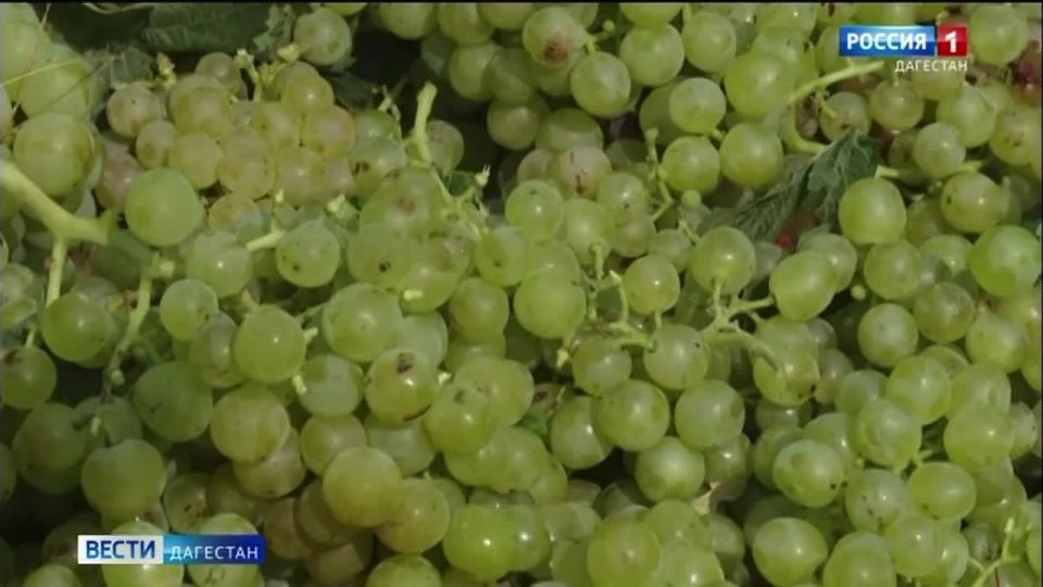 � ��������� �������� ��������� ������� ������������� � ��������� ����������� � ������ �������