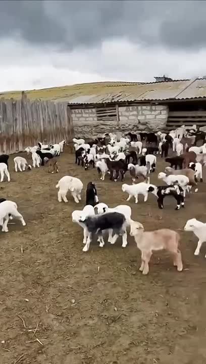 � ������������� ���������� ��������� �������� ������� ��������