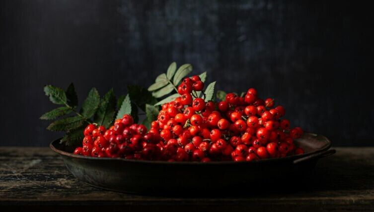 ����� ��� ������ ������: ����� ����� � ��� ������� �� ��������