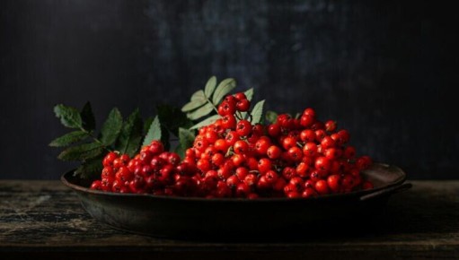 ����� ��� ������ ������: ����� ����� � ��� ������� �� ��������