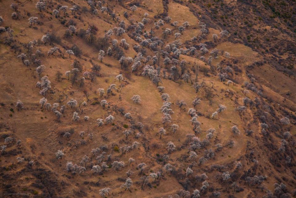 ������ �������� �������������, ��������� ������ ��������, �������� ������� ���������� �������