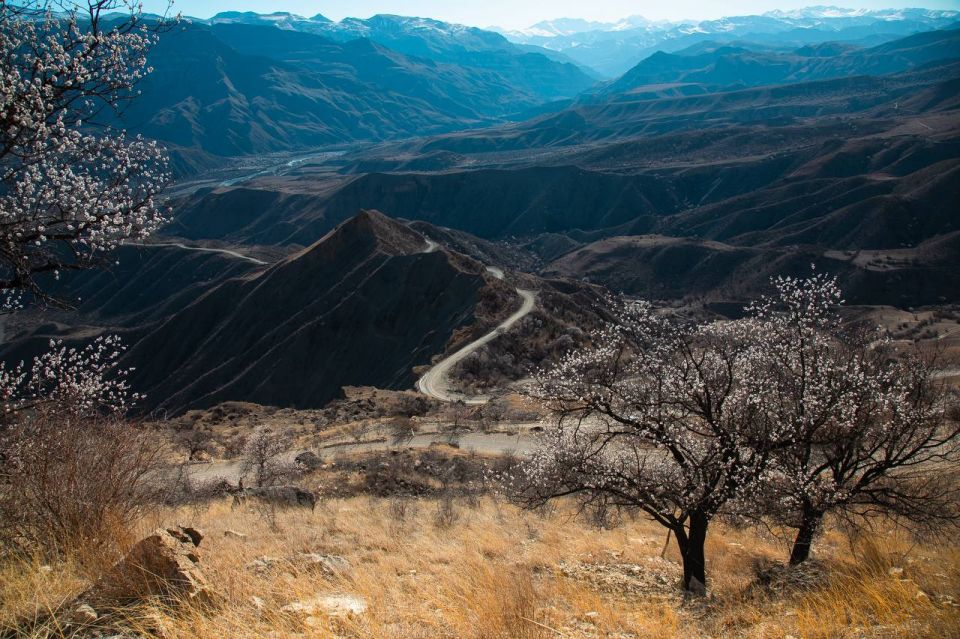 ������ �������� �������������, ��������� ������ ��������, �������� ������� ���������� �������