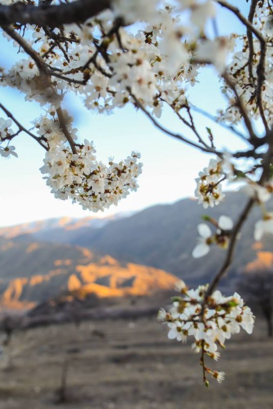 ������ �������� �������������, ��������� ������ ��������, �������� ������� ���������� �������