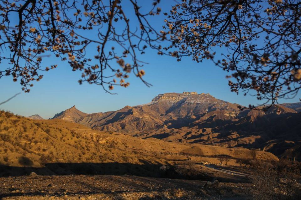 ������ �������� �������������, ��������� ������ ��������, �������� ������� ���������� �������