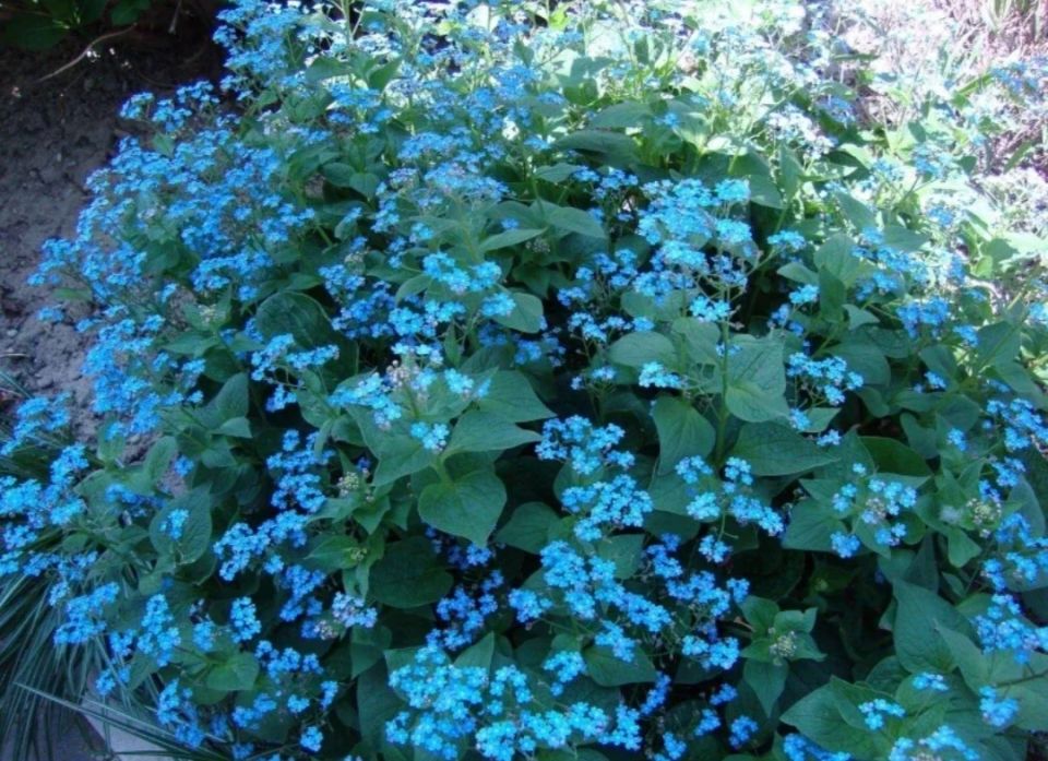 ��� 5 ������������� ������������� ��� ������ ����