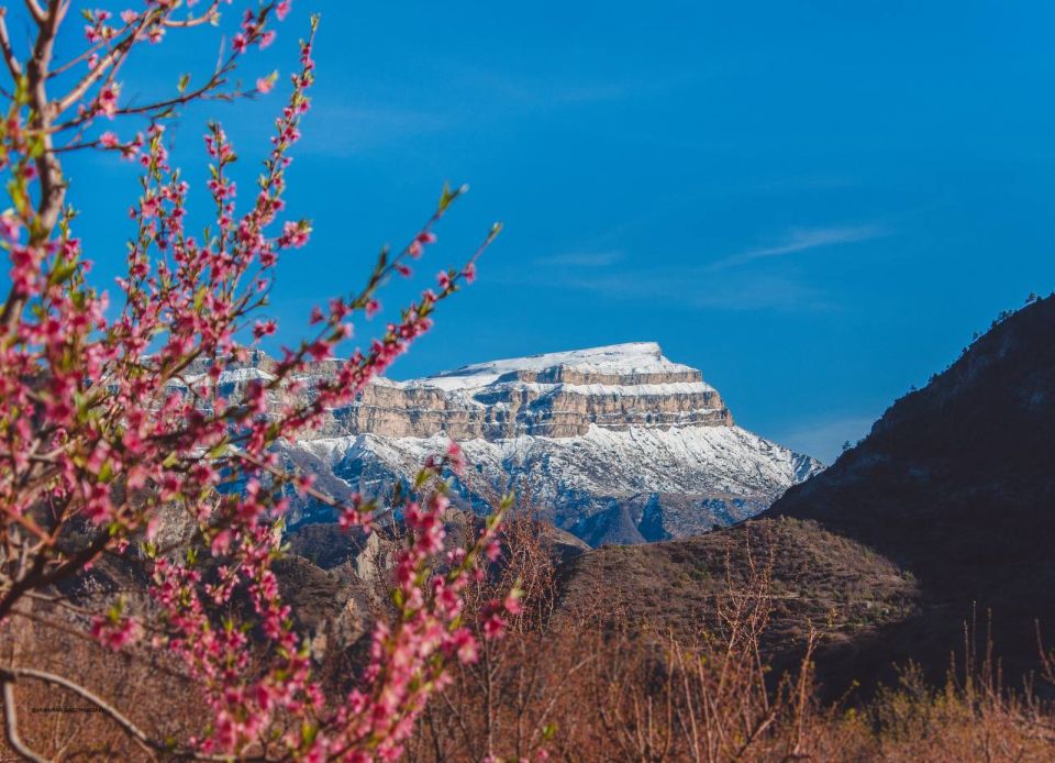 ������ �������� �������������, ��������� ������ ��������, �������� ������� ���������� �������