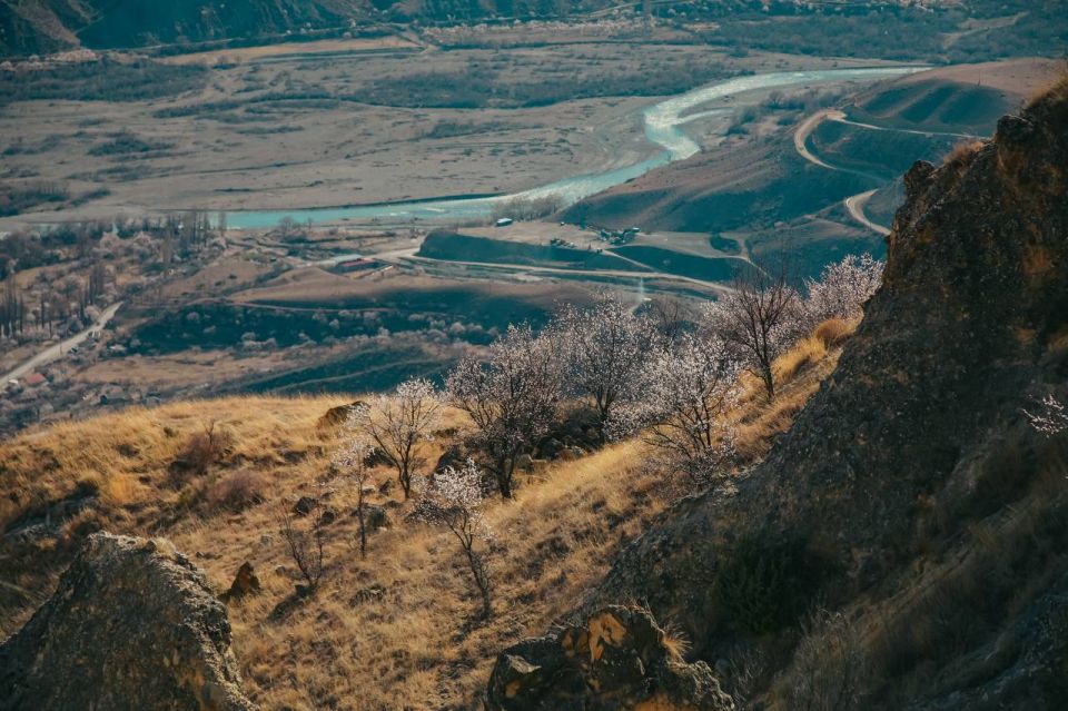 ������ �������� �������������, ��������� ������ ��������, �������� ������� ���������� �������