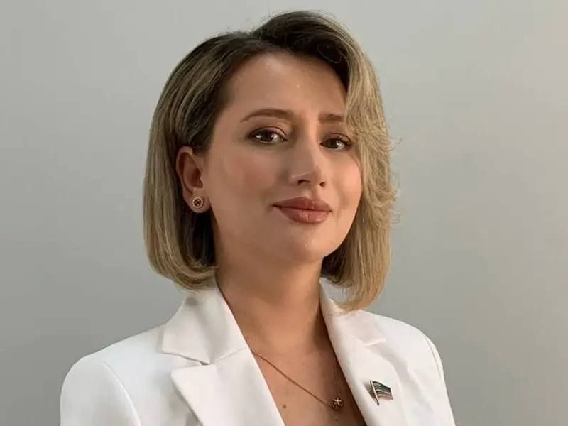 ���� ����� �����������