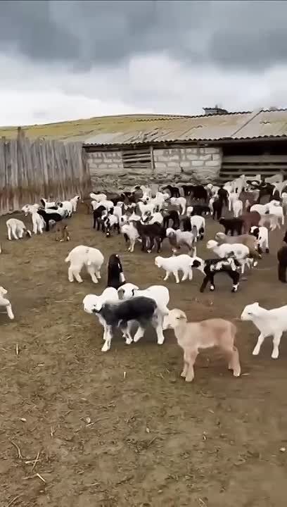 � ������������� ���������� ��������� �������� ������� ��������