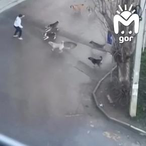 ������ ������ �� ��������� �� ����� ����� � ���������