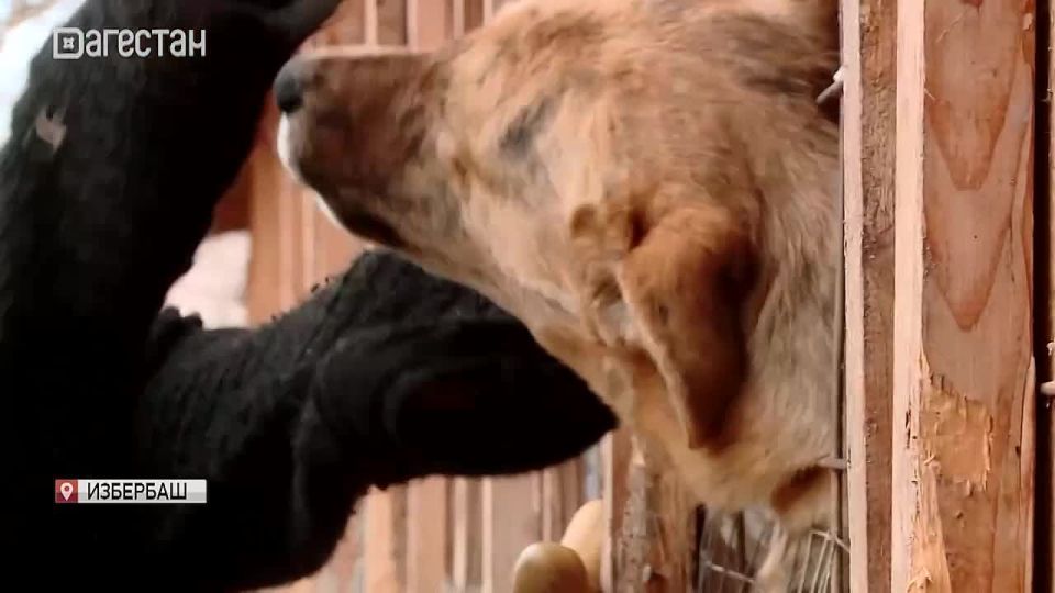 � ��������� ������ �������� �������� �����