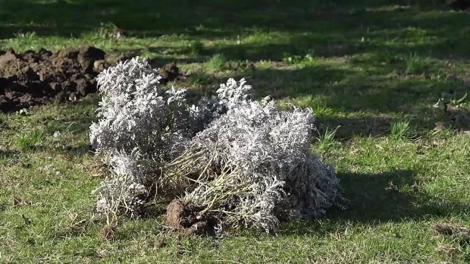 � ��������� ������� ������ �� ���������� ��������� ����� � ��������� ������