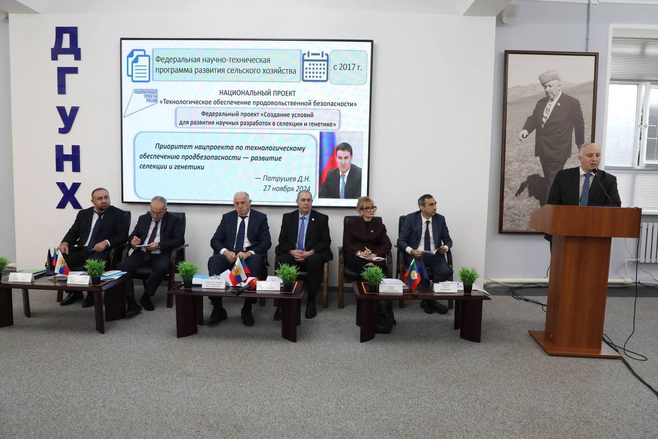 Первые дагестанские сорта картофеля появятся в 2027 году благодаря научным разработкам в Акушинском районе Первые дагестанские сорта картофеля появятся в 2027 году благодаря научным разработкам в Акушинском районе