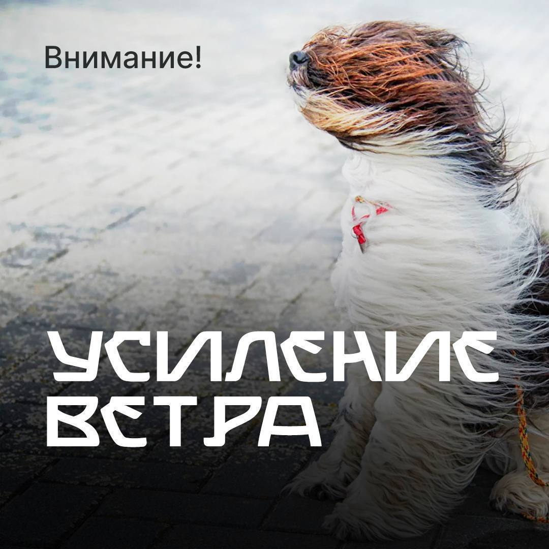 13 марта на территории Республики Дагестан прогнозируются неблагоприятные метеорологические явления (усиление ветра местами 15-18 м/с)