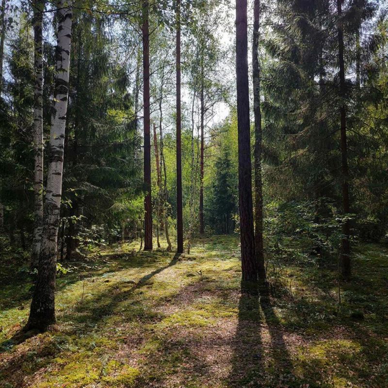 � �������� ���� ��������� ������������� ������� 3,5 ������ ��������