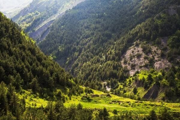 � �������� ���� ������� ��� 3500 �������� ������ ���������