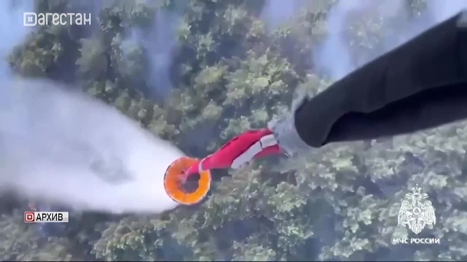 3500 �������� ������������� ������� � �������� ����