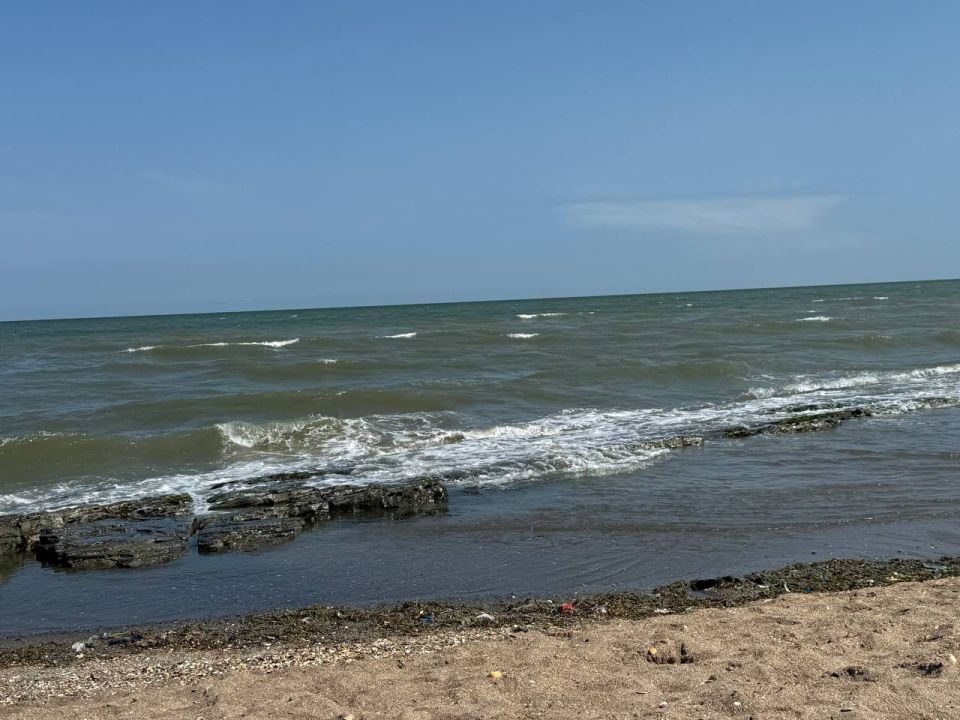 � ��������� � 2026 ���� �������� ������������� ����������� ����������� �� 177 ���� ������