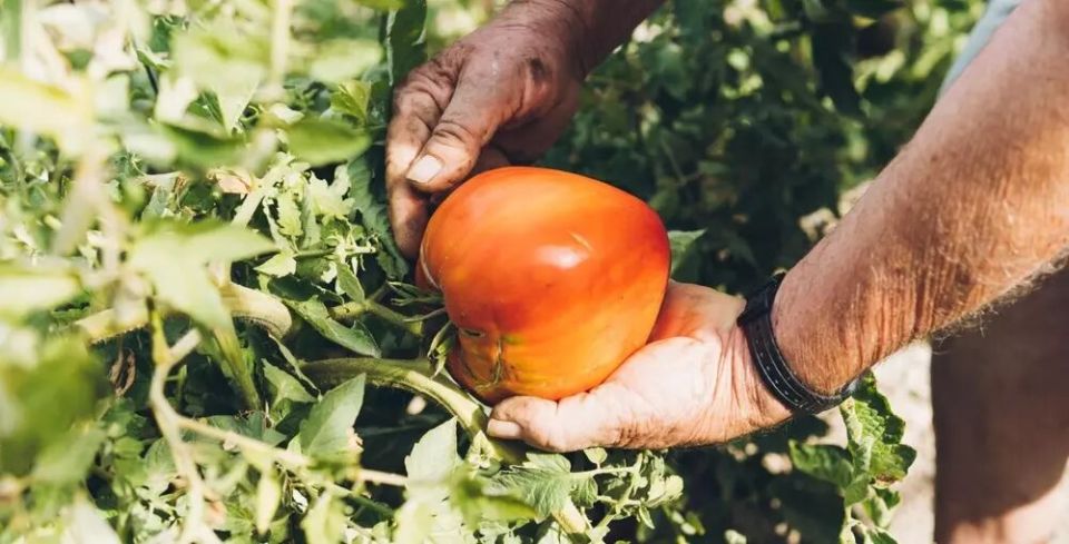 ����� ����� ������: ���, ��� ����� ����� �� ����� � ������������ �����