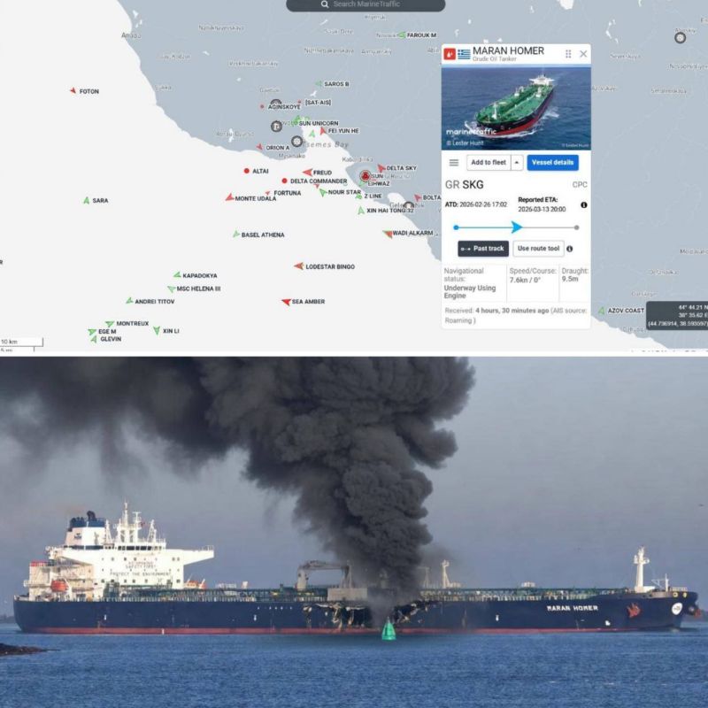 ���������� ������������ ����� - ��������� ������� �������� ��������� �������� ������ Maran Homer � ׸���� ����