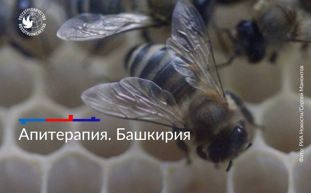 Этнотуризм в России. Среди путешественников набирают популярность направления, связанные с этнотуризмом Этнотуризм в России. Среди путешественников набирают популярность направления, связанные с этнотуризмом