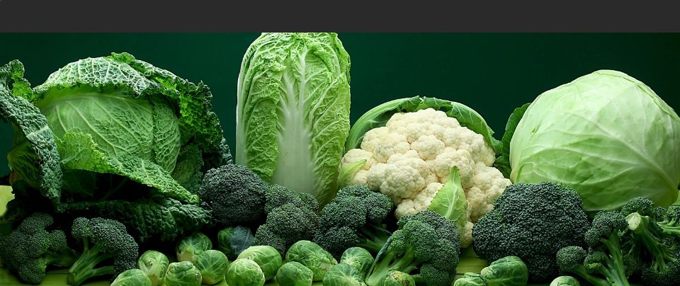 ����� ����� ������ �������: ������� ��������� ������