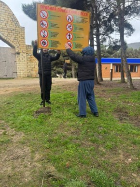 �� ���������� �������� ���� ������������ ������ �������� �������, ���� ����������� ����� �� �������� ������������, � ����� �������������� ��� � �������� ��������� � ����