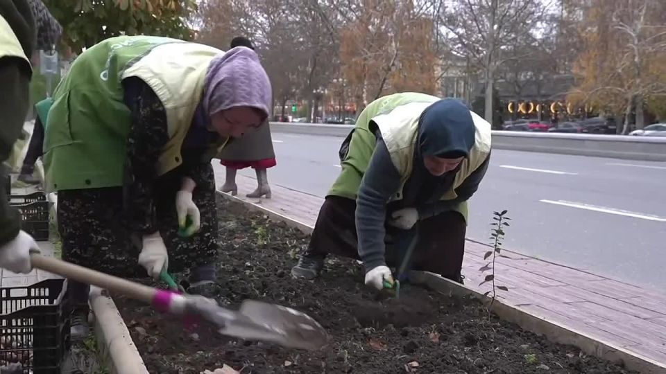 �. ����� ��������� ������� �� ������ ������� ������������ � ����������, �� � ��������� ��������� � ������ ����, ��������� ������ � �������