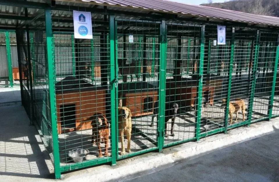 ����������� ������ �� ������ ������������ �������� �������� "��������" ��������� � ��� "������ �����" ������� ������ � ���������