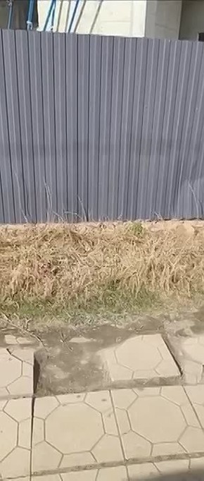 ���������� ��� ��������� ����� ������ �� �� ��� ���̻