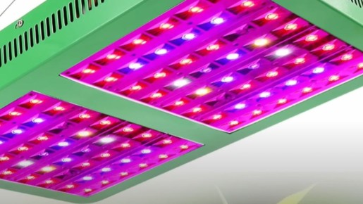 ������, � ������� ����� ������� ��� ����������� �������