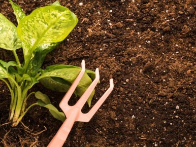 ���� � ����: ������� ������� ��� ���� ��� ������?