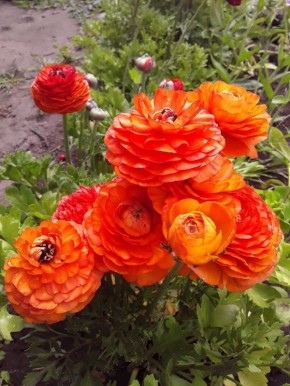 ����������� � ����: ��� ��������� � ��������� ��� �������� �� ��������� �����