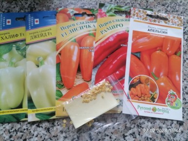 ��� ������� ����� ������: ���������� 16-�������� �����