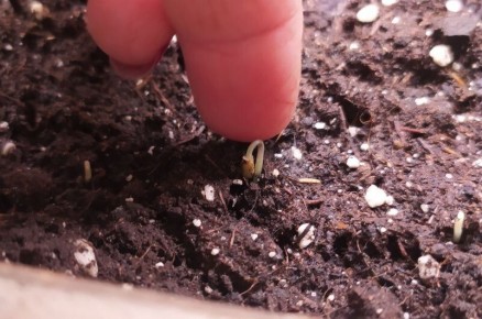 ������ �� ���������: ������ ������ ����� ��� ���