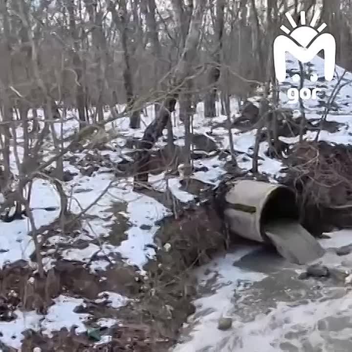 ��������� �� ����� ��������� ������� � ���� ����-��, � ������ � � ���������� ����, �������� �������������