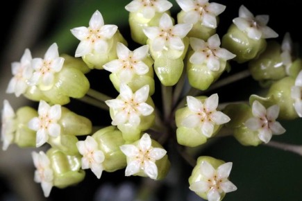 ����: ������� � ������������ ������������ �����