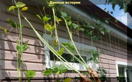 �����: ��� ��������� � ����������� ���� ������� ���������