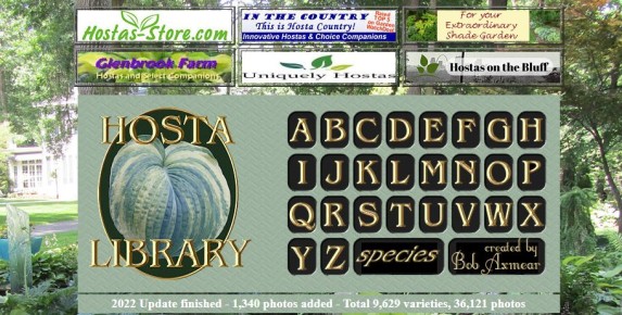 ��� ������� ������ �����: ������ �� ���������