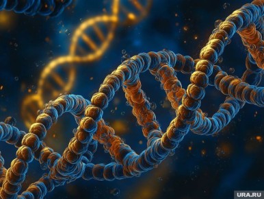 ������ ���������� ���������� � �������� ������������ ������ �� �������