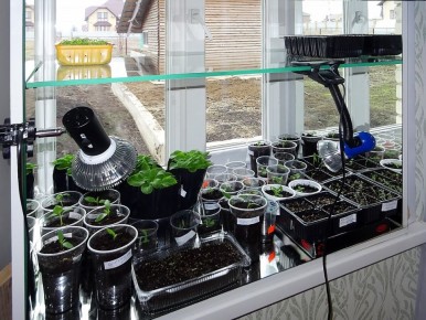 ���������� ������� ��� �������: �������, ����� � ������ �������������