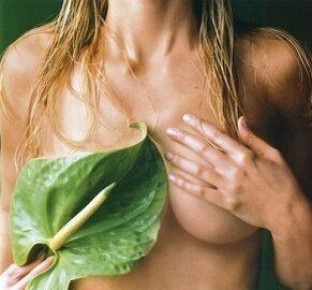 ������� ���������� ��������������� ����� �����