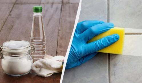 ������ �� ����� ������������ ����� ��� ��������� ������������: ������ ������������