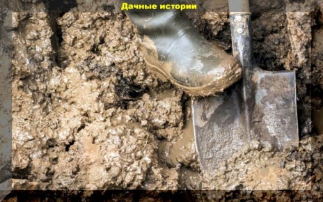 Как преобразовать глинистую почву в плодородную: секреты успешного земледелия