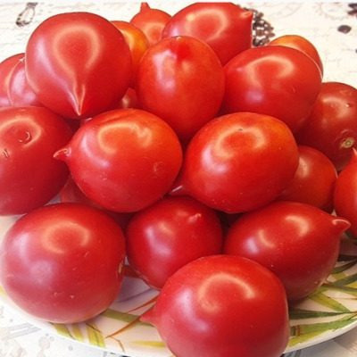 Томат Чудеса: секреты выращивания популярного овощного сорта