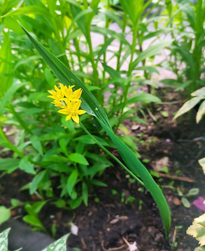 ����� ������� ����� ��������: ������������ �������� � ����� ����