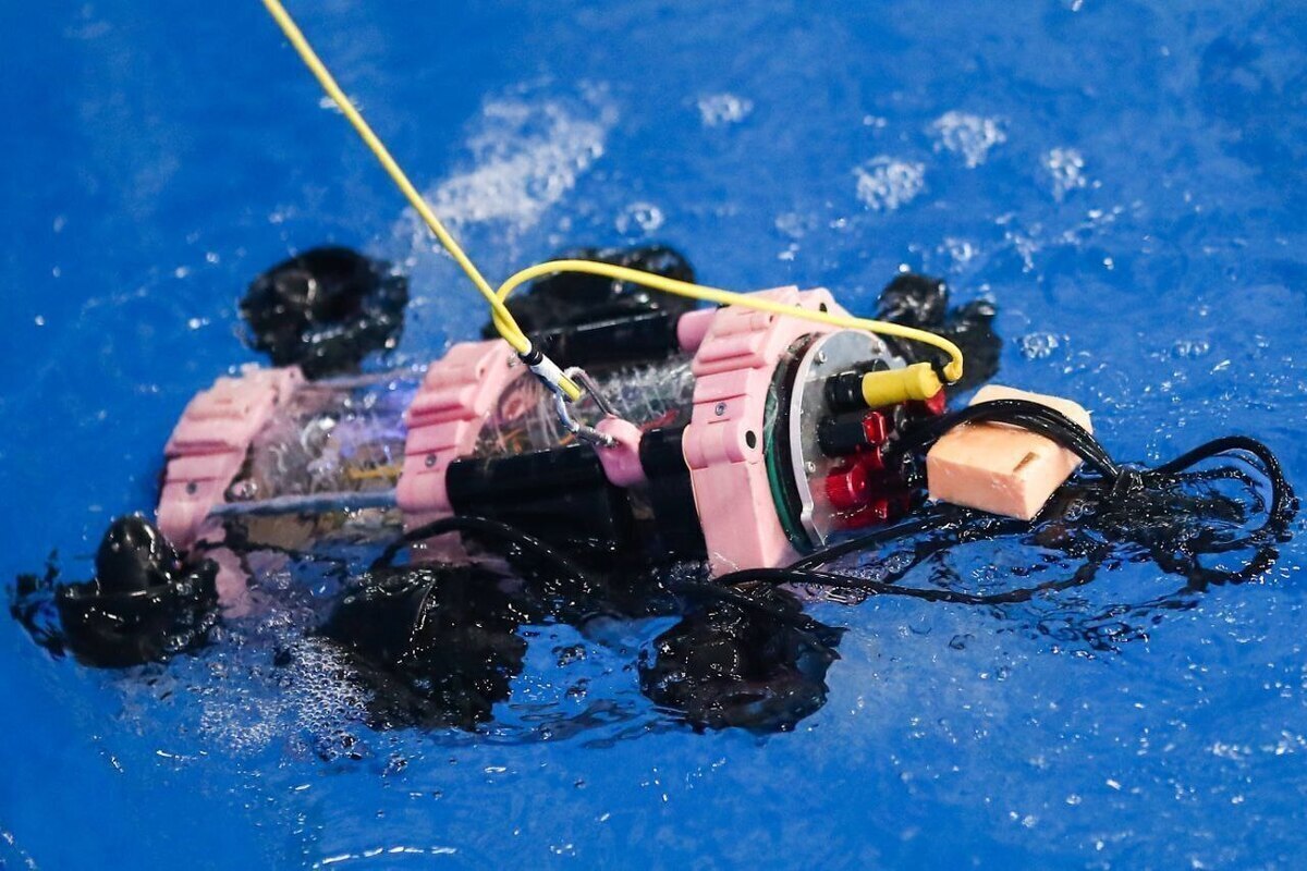 1 В Астрахани пройдет Кубок России по морским беспилотникам