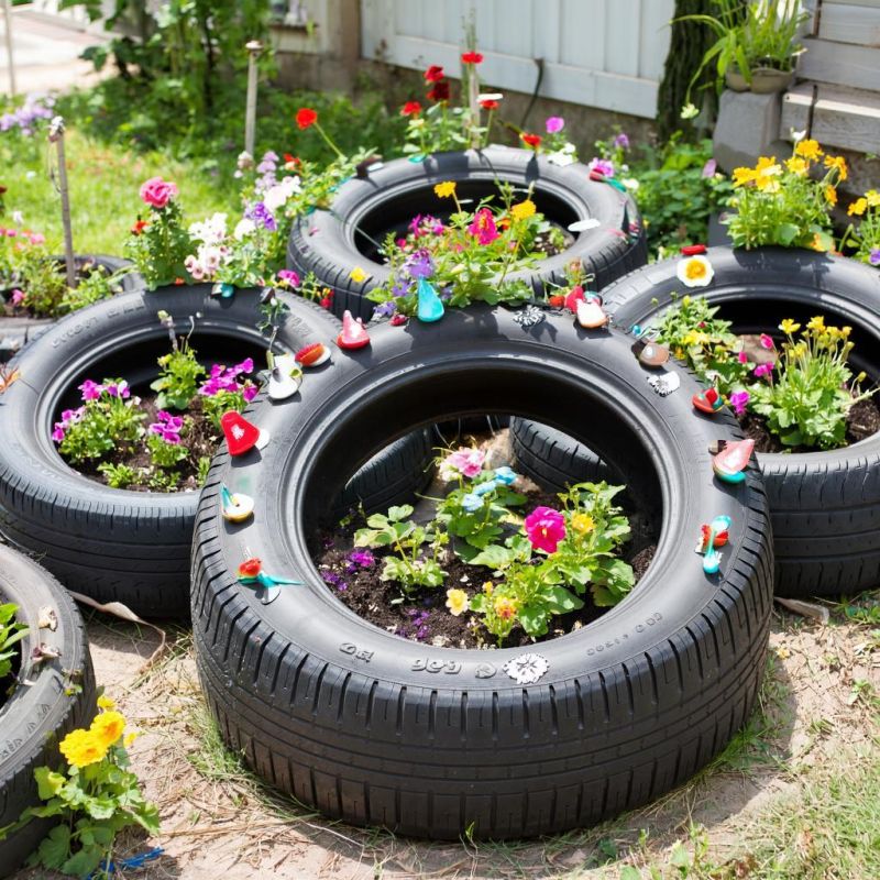 ����������� ����������� ������ ��� � �������� ������� ���������