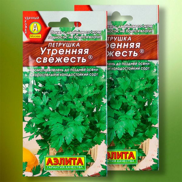 Петрушка «Утренняя свежесть»: идеальный спутник для зелёного рациона